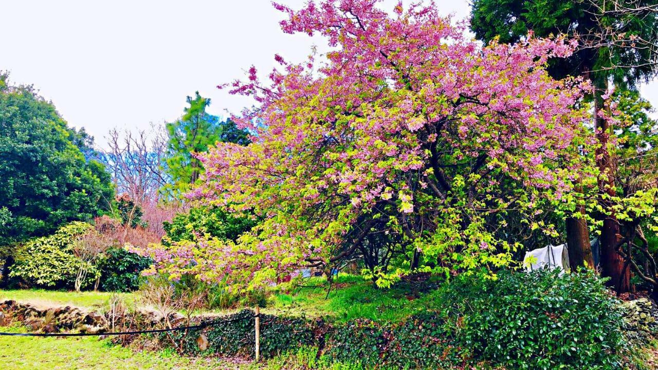 Forest Villa Olive Futo Exterior foto